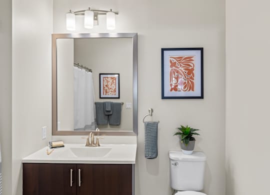 A bathroom with a white toilet, a sink, a mirror, and a plant.