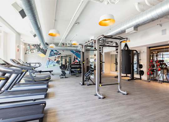 Gym