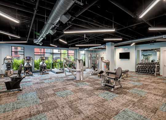 a gym with weights and cardio equipment in a large room with windows
