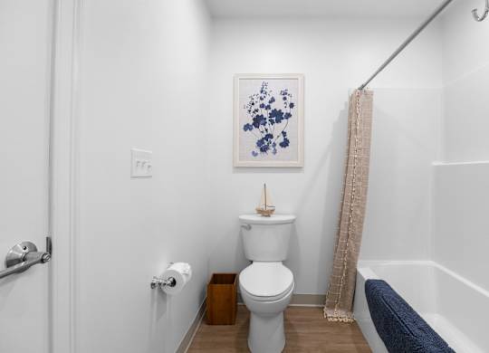 A small bathroom with a toilet, a picture on the wall, and a shower curtain.