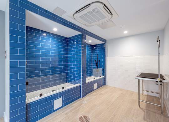 A blue tiled bathroom with a white door and a white sink at Seacoast Residences Apartments, Maine, 03904