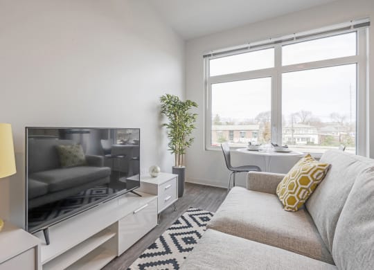 a living room with a couch and a tv and a window