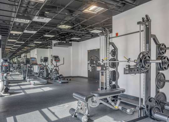 GYM with equipment's at Grand Central Market Apartments, Los Angeles, CA, 90013