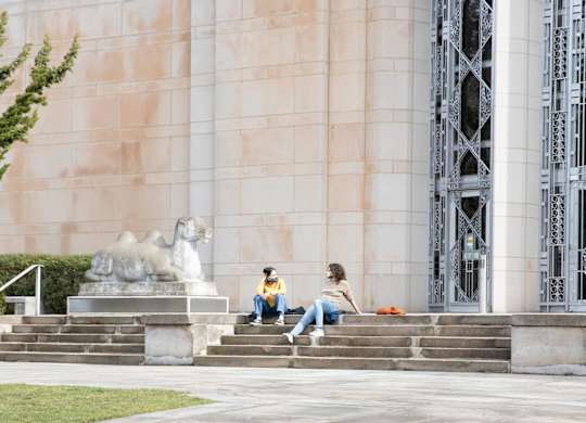 Two people sitting on steps in front of a building with a lion statue.