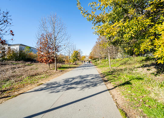 A tree-lined path with people walking on it.