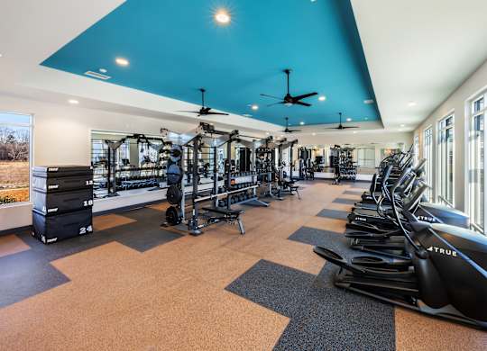 A gym with a row of treadmills and a row of exercise bikes.