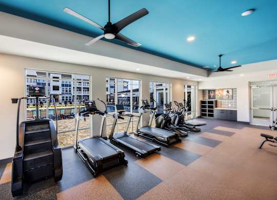 A gym with treadmills, elliptical machines, and a fan.