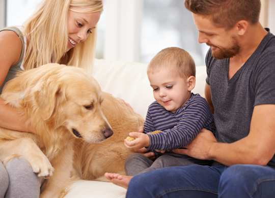 family pet