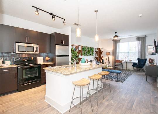 Gourmet Kitchen at Glenwood Park Lofts, Atlanta