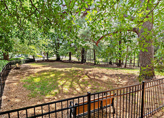 A fenced area with trees and grass.