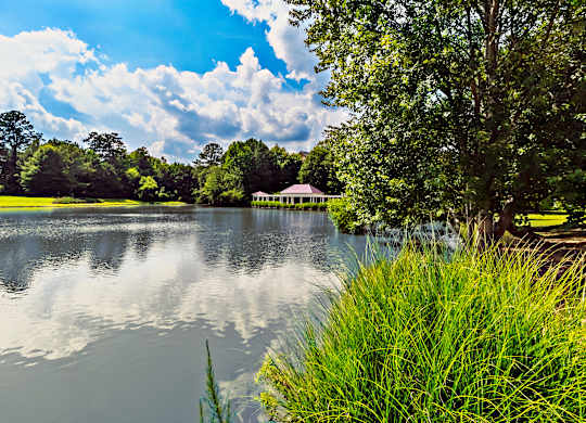 A serene lake surrounded by lush greenery and a clear blue sky.