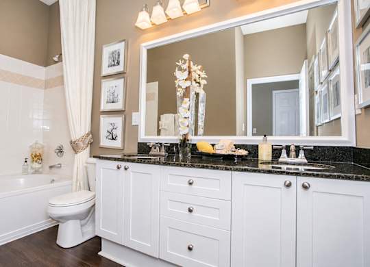 A bathroom with a white toilet and a large mirror above a vanity.