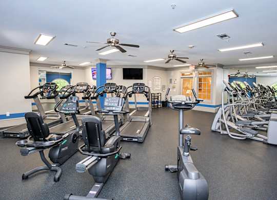 A gym with treadmills, exercise bikes, and elliptical machines.