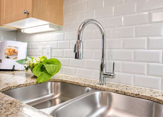 A kitchen sink with a silver faucet and a green plant on the counter.
