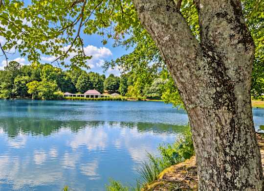A tree is in the foreground of a serene lake.