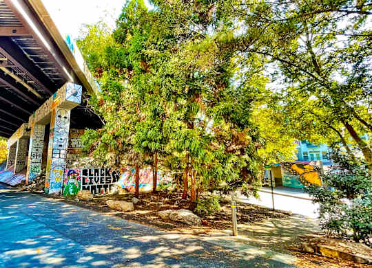 Pool side at Mariposa Lofts, Atlanta, 30307