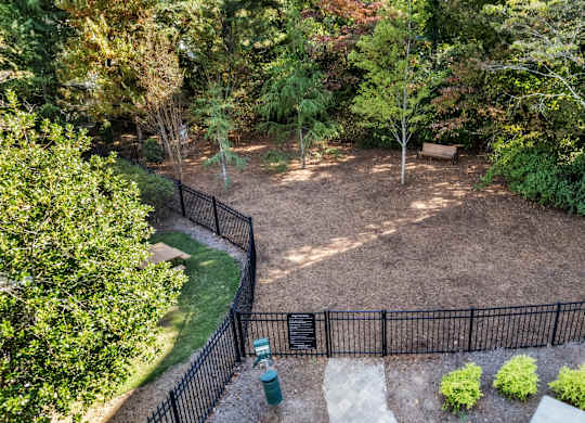 A backyard with a black fence and a green trash can at The Point at Perimeter, Georgia, 30338