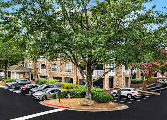 A tree in front of a building with cars parked in the parking lot.