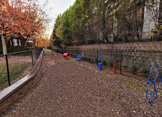 Dog park with agility equipment