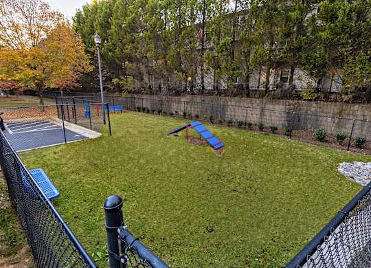 Dog park with agility equipment in fenced in area