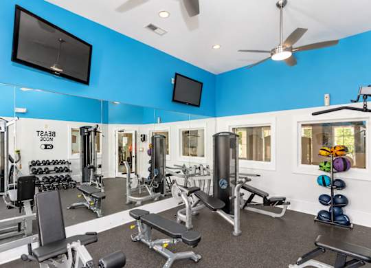 A gym with a variety of equipment including a bench press, a squat rack, and a mirror.
