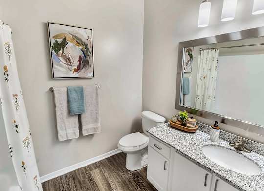 A bathroom with a toilet, sink, and a mirror.