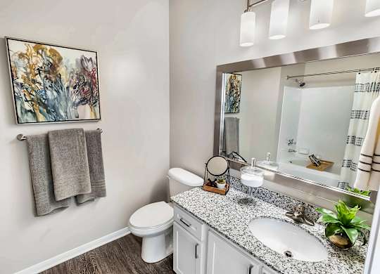 A bathroom with a toilet, sink, mirror, and a painting on the wall.