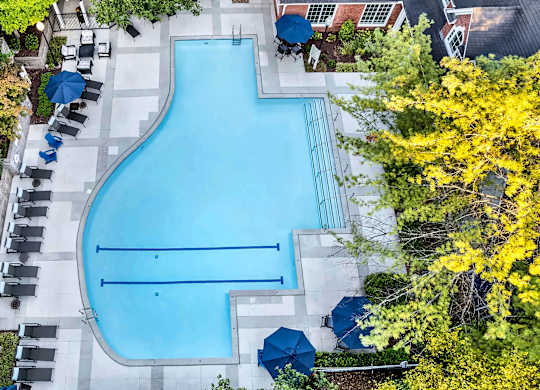 A large blue swimming pool surrounded by trees and lounge chairs.
