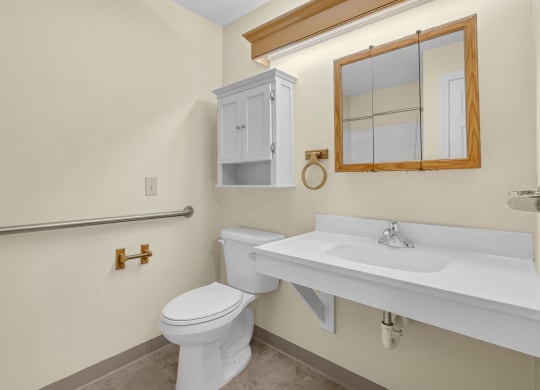 a bathroom with a sink and a toilet and a mirror