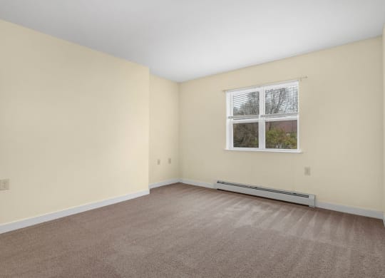an empty living room with carpet and a window