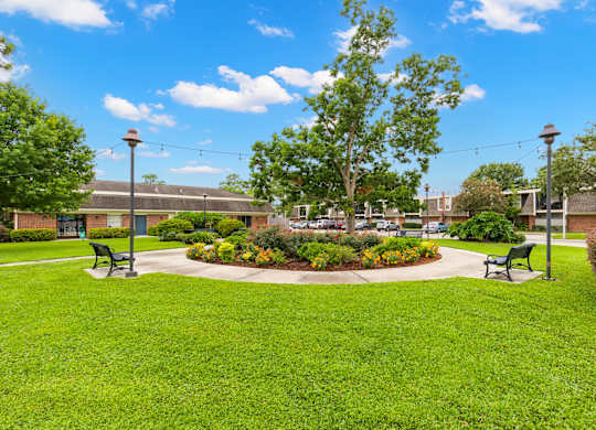 A park with a grassy area, a bench, and a tree.