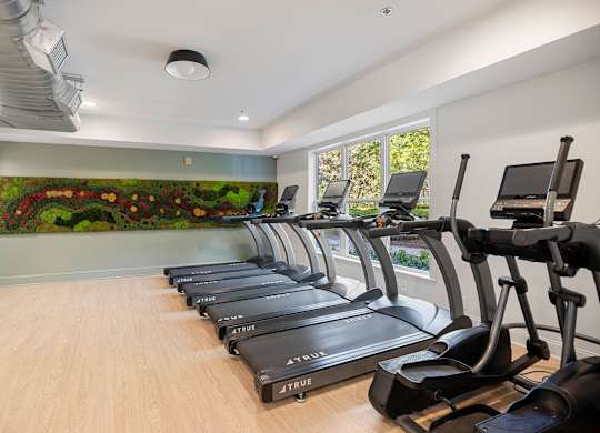A row of treadmills in a gym with a mural of a garden on the wall.