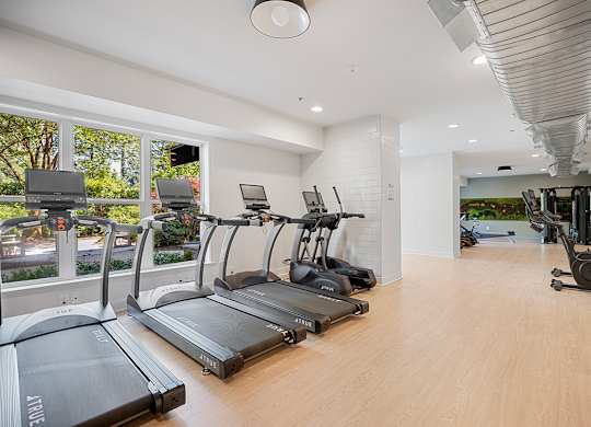 A gym with treadmills and elliptical machines.