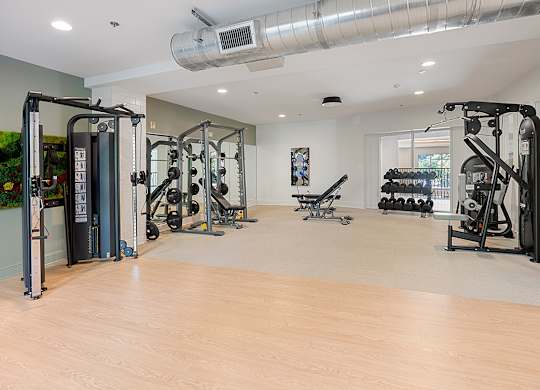 A gym with a variety of equipment including treadmills, weights, and exercise machines.