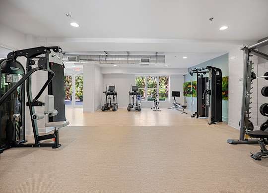 A spacious gym with various exercise machines and equipment.