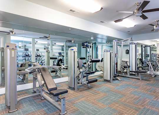 A gym with a variety of equipment including treadmills, weights, and a bench press.