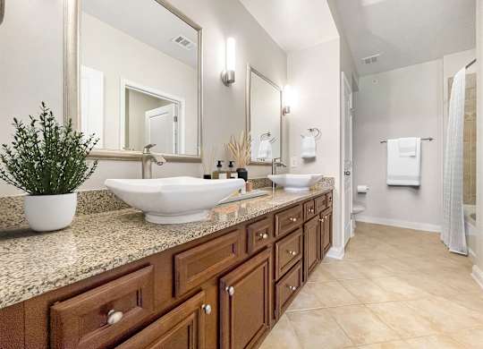 A bathroom with a large mirror, a sink, and a potted plant.