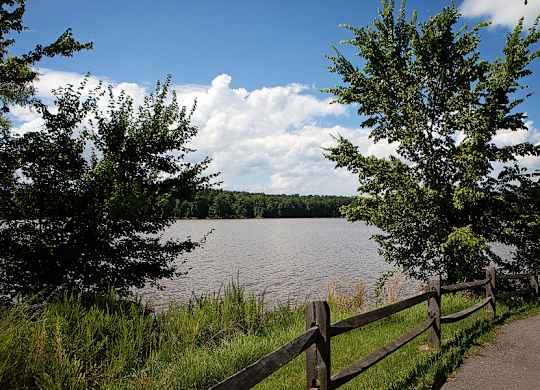 A lake surrounded by trees and a wooden fence.