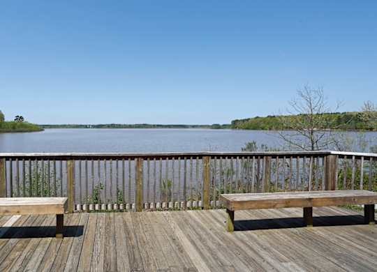 A wooden deck overlooks a body of water with benches on either side.
