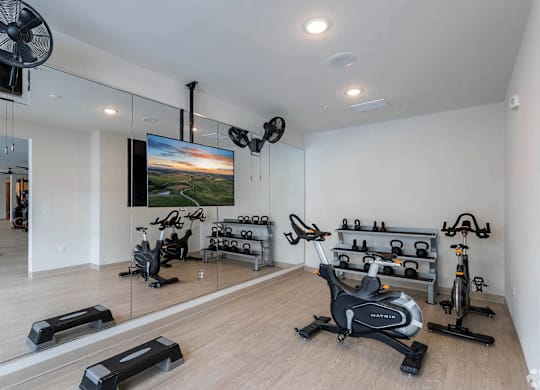 A spacious room with a mirror, exercise equipment, and a television displaying a sunset.