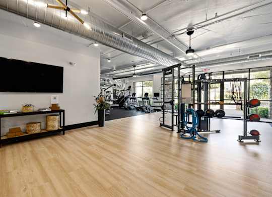 A gym with a variety of equipment including a squat rack, bench, and weights.