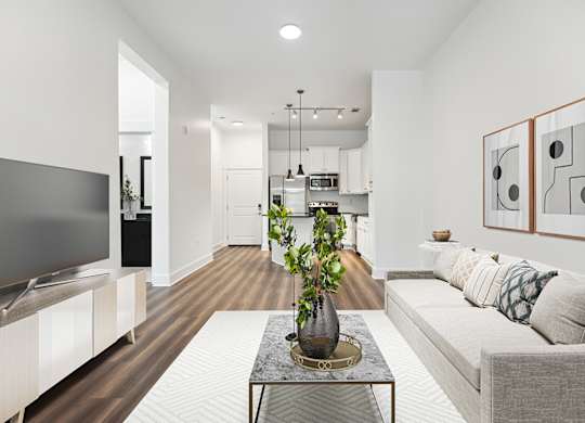 A modern living room with a grey sofa, a wooden cabinet, a television, and a potted plant on a glass table.