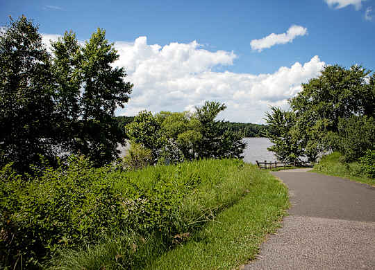 A pathway leads through a grassy area to a body of water.