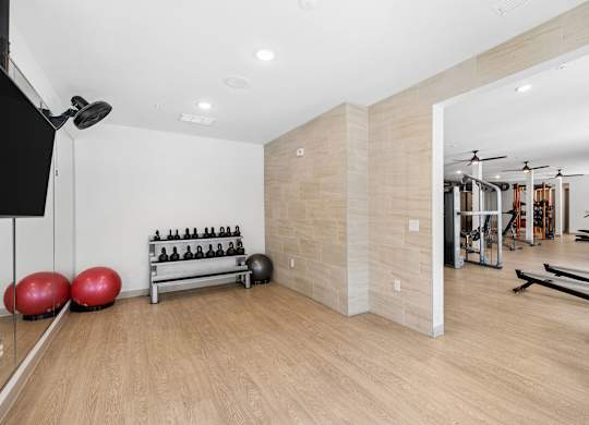 A gym with a mirror, exercise balls, and weights.
