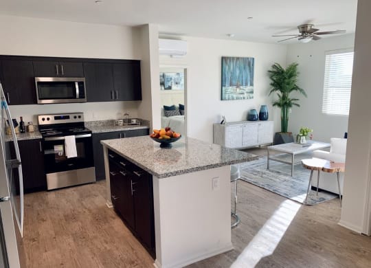 Model Unit Kitchen and Living room at Villa Annette Apartments, California