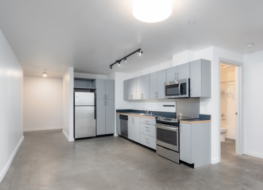 Large Kitchen  at 19th & Mercer, Washington, 98112