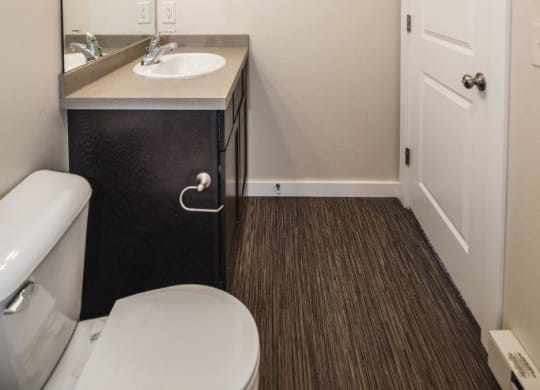 a bathroom with a toilet and a sink and a mirror at Madison Park, Bozeman, 59718