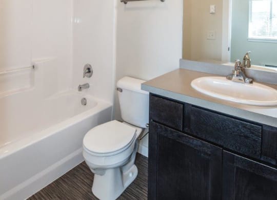 a bathroom with a toilet and a sink and a bath tub at Madison Park, Bozeman, MT