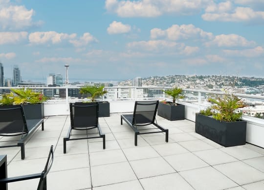 a roof top patio with chairs and potted plants overlooking the city  at Oslo, Seattle, 98102