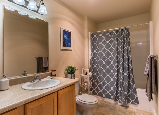 a bathroom with a sink toilet and a shower  at Quail Springs, Washington, 99353